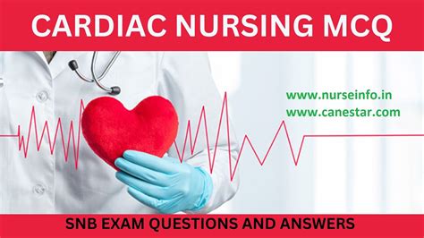 Snb Exam Questions And Answers Pdf .